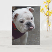 プロダクトをカスタマイズ カード (黄色い花)