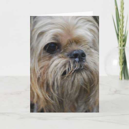 プロダクトをカスタマイズ カード (正面)