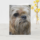 プロダクトをカスタマイズ カード (黄色い花)