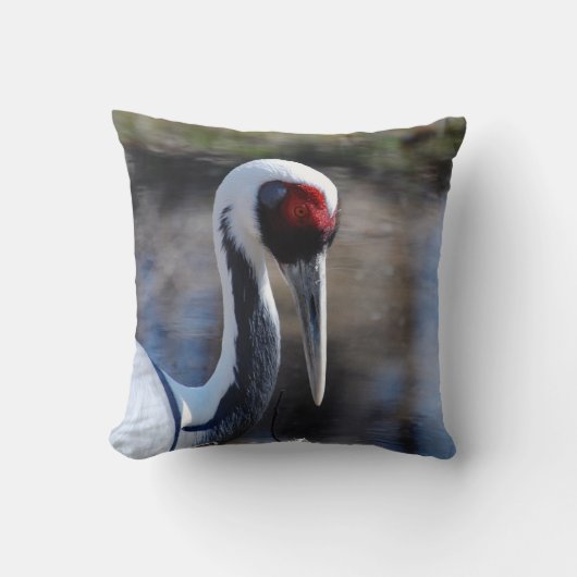 プロダクトをカスタマイズ クッション (正面)