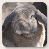 プロダクトをカスタマイズ コースター (正面)