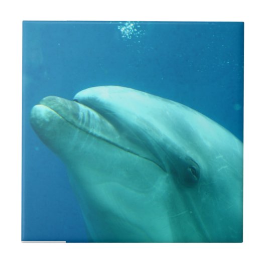 プロダクトをカスタマイズ タイル (正面)