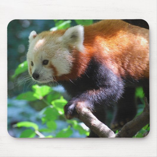 プロダクトをカスタマイズ マウスパッド (正面)