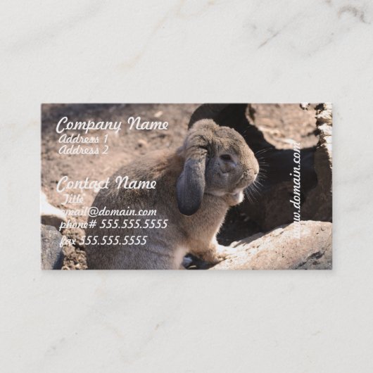 プロダクトをカスタマイズ 名刺 (正面)