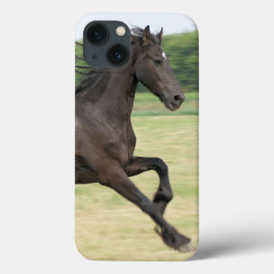プロダクト iPhone 13ケース