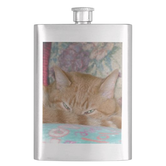 プロット フラスク (正面)