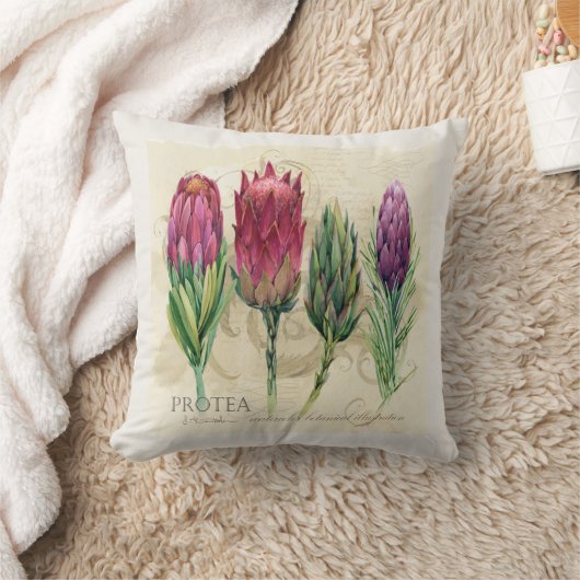 プロテアかわいらし枕 クッション (ブランケット)