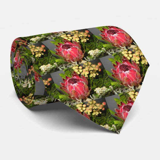 プロテアのタイ ネクタイ (ロール)