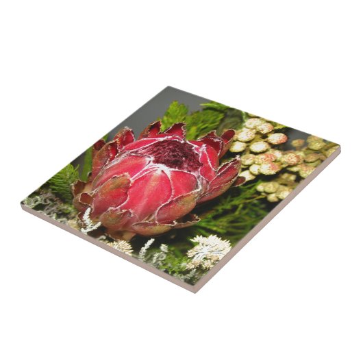 プロテアの花束 タイル (側面)