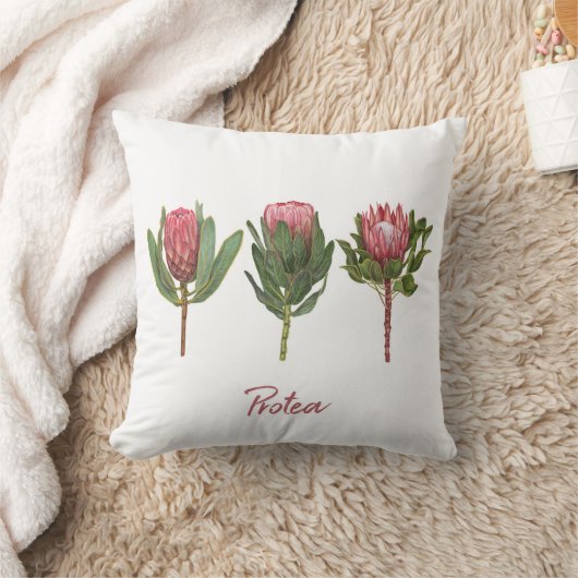 プロテアの花 クッション (ブランケット)