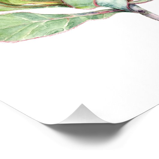 プロテアの花 フォトプリント            (角)