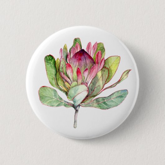 プロテアの花 缶バッジ (正面)