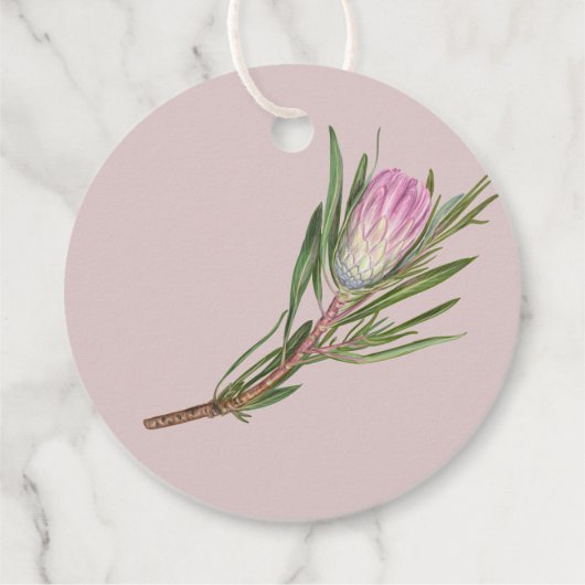 プロテアエレガントー花の王 フェイバータグ (裏面)