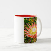プロテアオーストラリアの花の写真 ツートーンマグカップ (正面右)