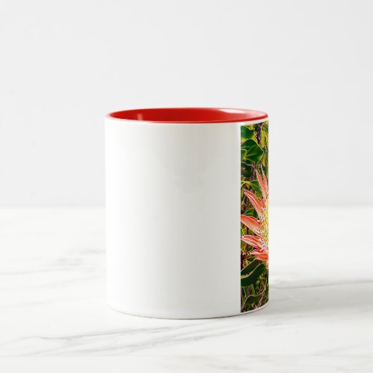 プロテアオーストラリアの花の写真 ツートーンマグカップ (中央)