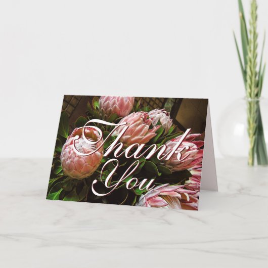 プロテアカードをありがとう サンキューカード (正面)