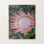 プロテアシュガーブッシュ ジグソーパズル (縦)