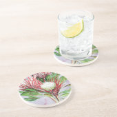 プロテアス コースター (側面)