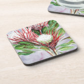 プロテアス コースター (左側)