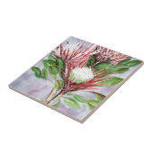 プロテアス タイル (側面)