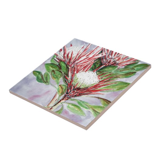 プロテアス タイル (側面)