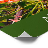 プロテアフラワーオーストラリア旅行プリント ポスター (角)