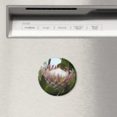 プロテアフラワーハワイ磁石 マグネット (インサイチュ (食洗機))