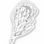 プロテアブラック&ホワイトカスタムカットステッカーII シール (正面)