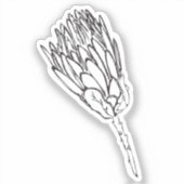 プロテアブラック&ホワイトカスタムカットステッカーV シール (正面)