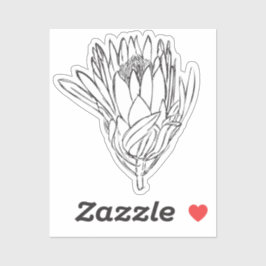 プロテアブラック&ホワイトカスタムカットステッカーVII シール