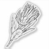 プロテアブラック&ホワイトカスタムステッカーI シール (正面)