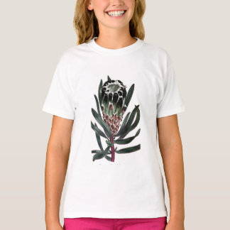 プロテアレピドカルポン Tシャツ