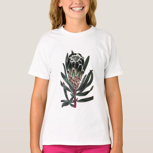 プロテアレピドカルポン Tシャツ (正面)