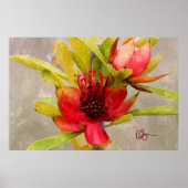 プロテア愛 ポスター (正面)