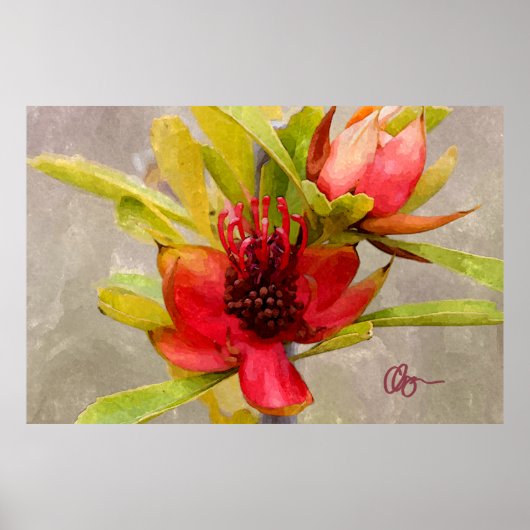 プロテア愛 ポスター (正面)