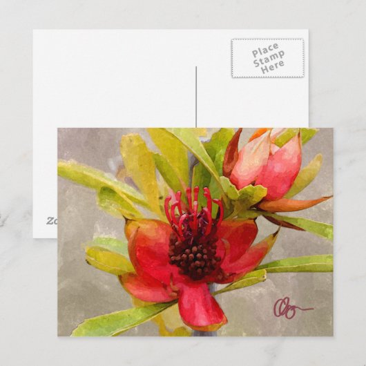 プロテア愛 ポストカード (正面/裏面)