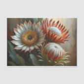 プロテア王室のドリームズデコップページ 薄葉紙 (正面)