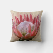 プロテア王 クッション (裏面)