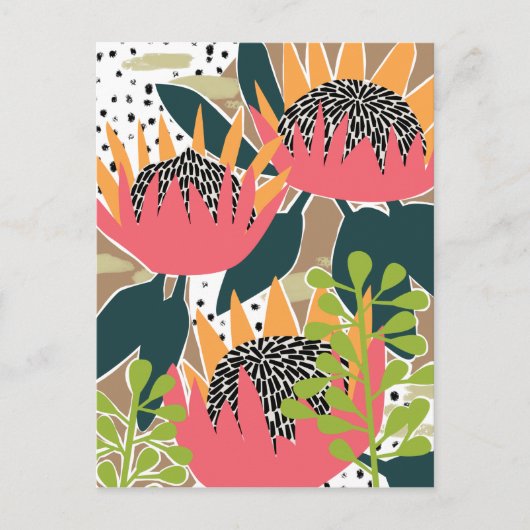 プロテア王 ポストカード (正面)