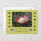 プロテア王 ポストカード (正面/裏面)