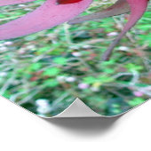 プロテア ポスター (角)