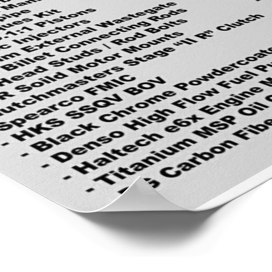 プロテア ポスター (角)