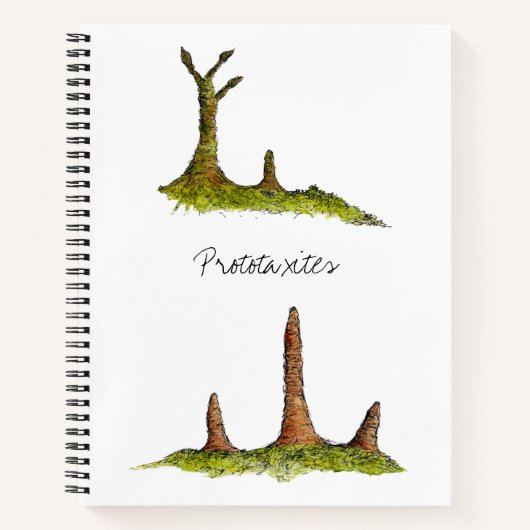 プロトタキサイト渦巻き型ノートブック ノートブック (正面)