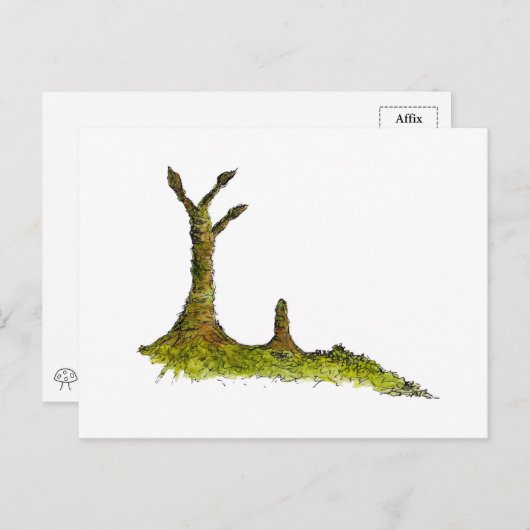 プロトタキシート地衣類はがき ポストカード (正面/裏面)