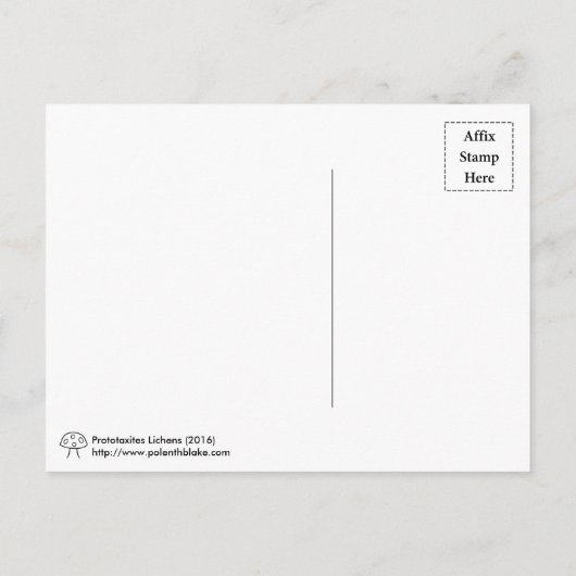 プロトタキシート地衣類はがき ポストカード (裏面)