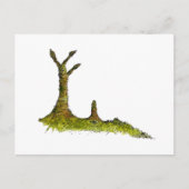 プロトタキシート地衣類はがき ポストカード (正面)