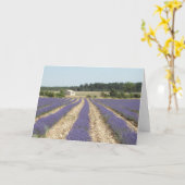 プロバンスのラベンダー分野 カード (黄色い花)