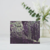 プロバンスラベンダー葉書 ポストカード (スタンド正面)