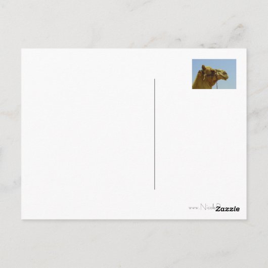 プロファイルで笑顔のラクダ ポストカード (裏面)