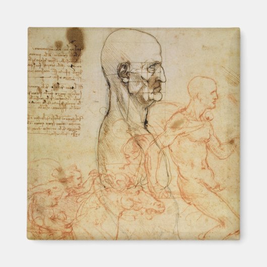 プロファイル内の男性の胴体、Prの頭の二乗 マグネット (正面)